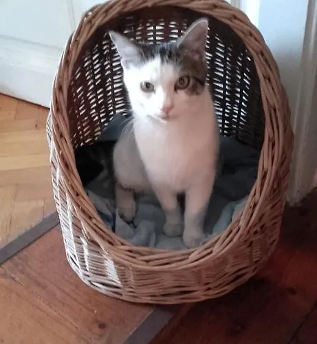 Bed & Breakfast Eden Panzio 4*