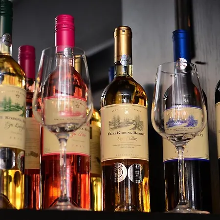 Eden Panzio Отель типа 