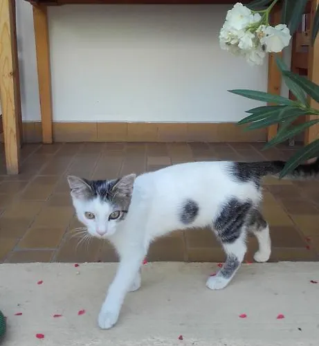 Eden Panzio ベッド・アンド・ブレックファスト